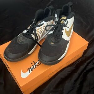 Nike Basketball shoes